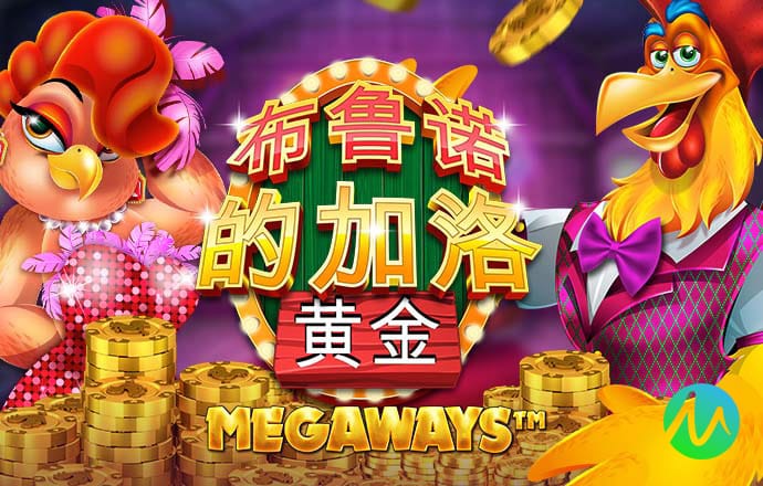 澳门一肖一码100准免费资料